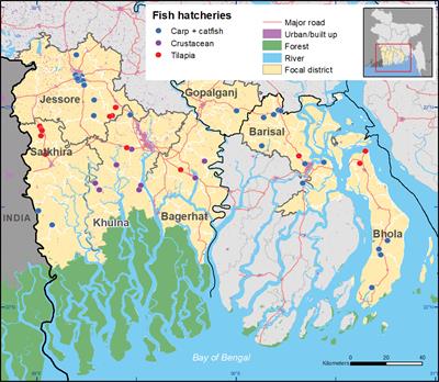 The structure, conduct, and performance of the hatchery segment of the aquaculture value chain in Bangladesh